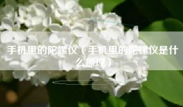 手机里的陀螺仪（手机里的陀螺仪是什么原理）