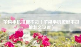 苹果手机按键不灵（苹果手机按键不灵敏怎么设置）
