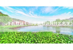 vivo手机默认（vivo手机默认叫什么名字）