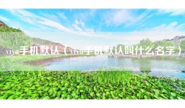 vivo手机默认(vivo手机默认叫什么名字)