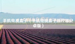 手机电视盒子（手机电视盒子遥控器安卓版）