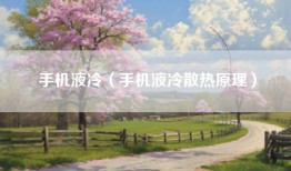 手机液冷（手机液冷散热原理）