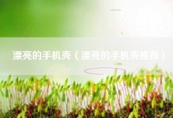 漂亮的手机壳（漂亮的手机壳推荐）