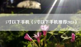 5寸以下手机（5寸以下手机推荐2023）