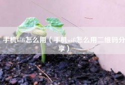 手机wifi怎么用（手机wifi怎么用二维码分享）