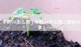 手机wifi怎么用（手机wifi怎么用二维码分享）