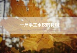 一斤手工水饺的利润