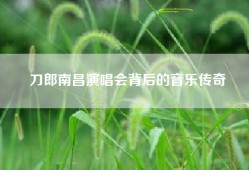 刀郎南昌演唱会背后的音乐传奇
