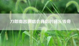 刀郎南昌演唱会背后的音乐传奇