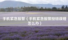 手机紧急报警（手机紧急报警按钮误碰怎么办）