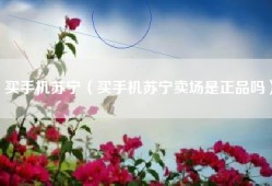 买手机苏宁（买手机苏宁卖场是正品吗）