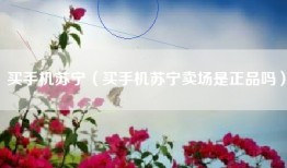 买手机苏宁（买手机苏宁卖场是正品吗）