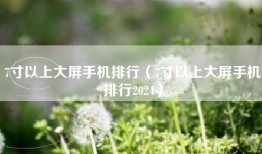 7寸以上大屏手机排行（7寸以上大屏手机排行2024）