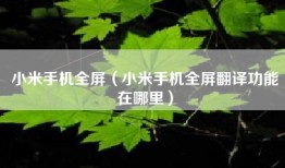小米手机全屏（小米手机全屏翻译功能在哪里）