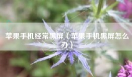 苹果手机经常黑屏（苹果手机黑屏怎么办）