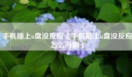 手机插上u盘没反应(手机插上u盘没反应怎么办啊)
