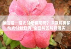 微信碰一碰支付是骗局吗？深度解析移动支付新趋势_全面解答解释落实