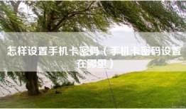 怎样设置手机卡密码（手机卡密码设置在哪里）