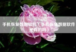 手机恢复数据软件（手机恢复数据软件是真的吗）