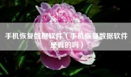 手机恢复数据软件（手机恢复数据软件是真的吗）