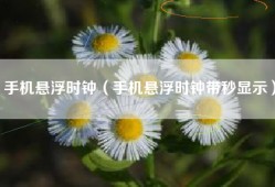 手机悬浮时钟（手机悬浮时钟带秒显示）