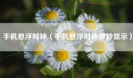 手机悬浮时钟（手机悬浮时钟带秒显示）
