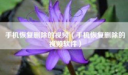 手机恢复删除的视频（手机恢复删除的视频软件）