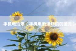 手机电池爆（手机电池爆炸前的征兆）