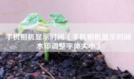 手机相机显示时间（手机相机显示时间水印调整字体大小）