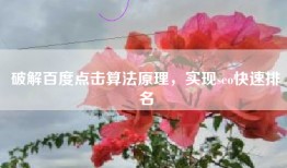 破解百度点击算法原理，实现seo快速排名