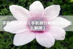 手机银行解绑（手机银行解绑信用卡怎么解绑）