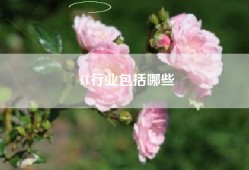 IT行业包括哪些