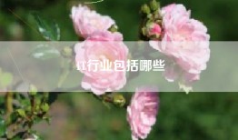 IT行业包括哪些