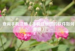 查询手机注册（手机注册过的软件如何查询）