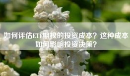 如何评估ETF期权的投资成本？这种成本如何影响投资决策？