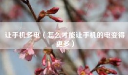 让手机多电（怎么才能让手机的电变得更多）