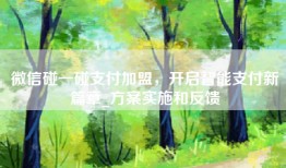 微信碰一碰支付加盟，开启智能支付新篇章_方案实施和反馈