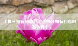 手机分期有利息吗（手机分期有利息吗怎么算）