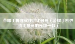 荣耀手机哪款性价比最高（荣耀手机性价比最高的是哪一款）