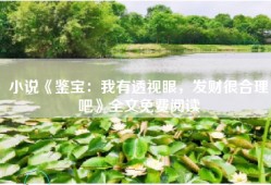 小说《鉴宝：我有透视眼，发财很合理吧》全文免费阅读