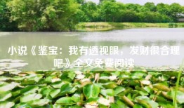 小说《鉴宝：我有透视眼，发财很合理吧》全文免费阅读