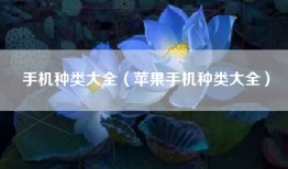 手机种类大全（苹果手机种类大全）