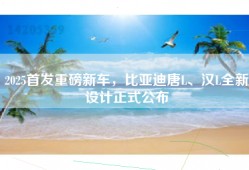2025首发重磅新车，比亚迪唐L、汉L全新设计正式公布