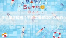 手机苹果降级（手机苹果降级怎么操作）