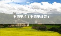 韦德手机（韦德手机壳）