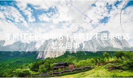 手机打不进来电话（手机打不进来电话怎么回事）