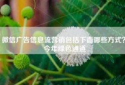 微信广告信息流营销包括下面哪些方式？ 今年绿色通道