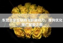 东营企业互联网飞跃新动力，搜狗优化推广赋能之旅