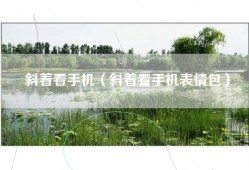 斜着看手机（斜着看手机表情包）