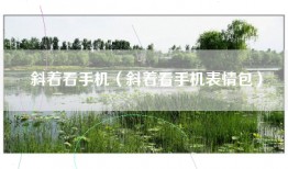 斜着看手机（斜着看手机表情包）